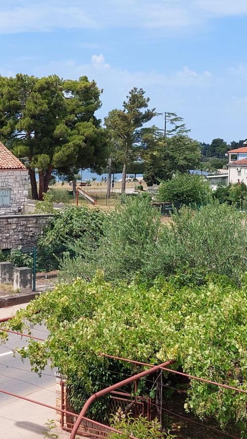 Apartments Katarina Umag Bagian luar foto